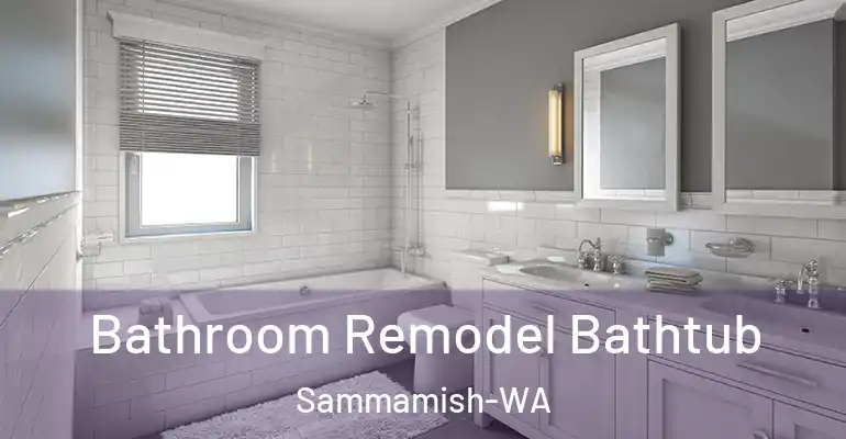 inner Bathroom imggen Bathroom Remodel Bathtub Sammamish-WA