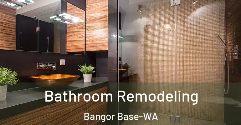 inner Bathroom imggen Bathroom Remodeling Bangor Base-WA