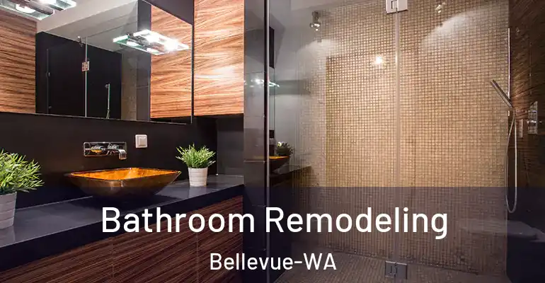 inner Bathroom imggen Bathroom Remodeling Bellevue-WA