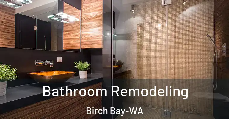 inner Bathroom imggen Bathroom Remodeling Birch Bay-WA