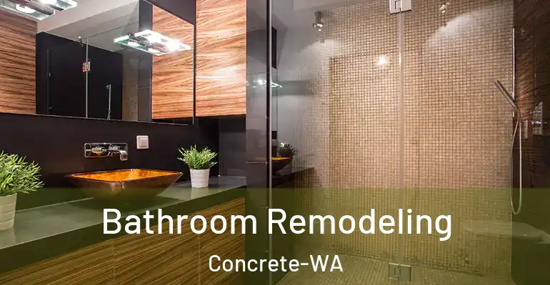 inner Bathroom imggen Bathroom Remodeling Concrete-WA