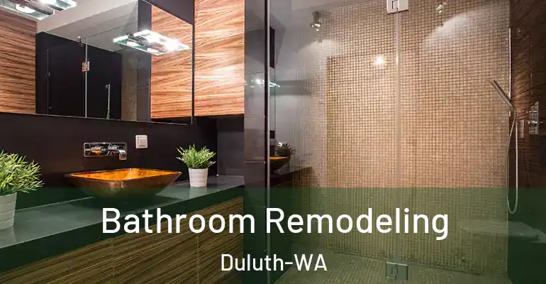 inner Bathroom imggen Bathroom Remodeling Duluth-WA