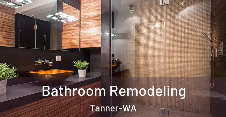 inner Bathroom imggen Bathroom Remodeling Tanner-WA