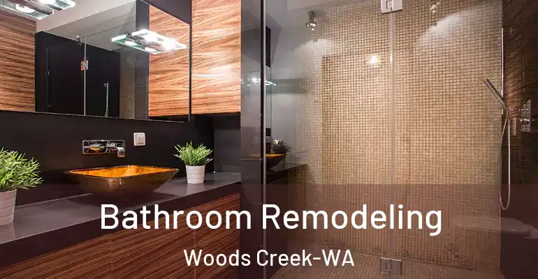 inner Bathroom imggen Bathroom Remodeling Woods Creek-WA
