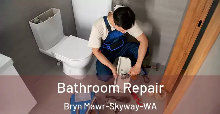 inner Bathroom imggen Bathroom Repair Bryn Mawr-Skyway-WA