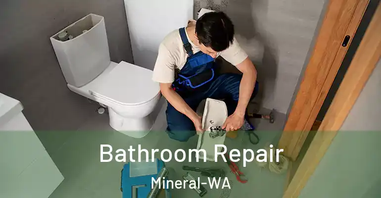 inner Bathroom imggen Bathroom Repair Mineral-WA