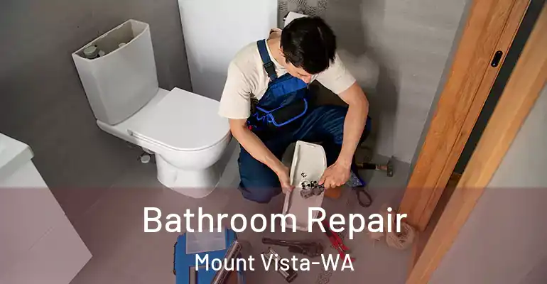 inner Bathroom imggen Bathroom Repair Mount Vista-WA