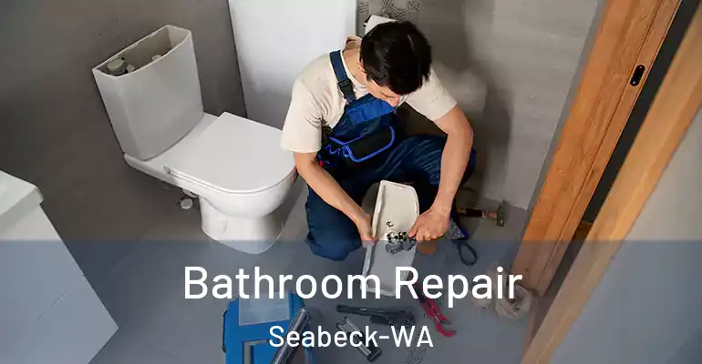 inner Bathroom imggen Bathroom Repair Seabeck-WA