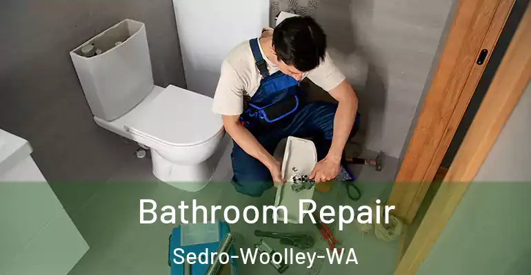 inner Bathroom imggen Bathroom Repair Sedro-Woolley-WA