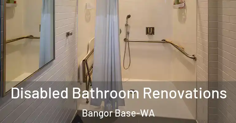inner Bathroom imggen Disabled Bathroom Renovations Bangor Base-WA