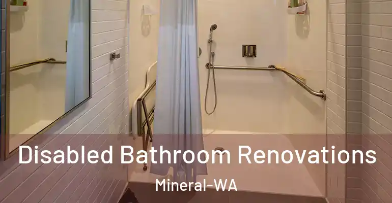 inner Bathroom imggen Disabled Bathroom Renovations Mineral-WA