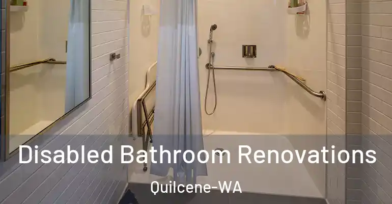 inner Bathroom imggen Disabled Bathroom Renovations Quilcene-WA