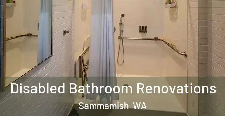 inner Bathroom imggen Disabled Bathroom Renovations Sammamish-WA