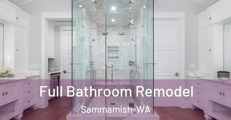 inner Bathroom imggen Full Bathroom Remodel Sammamish-WA