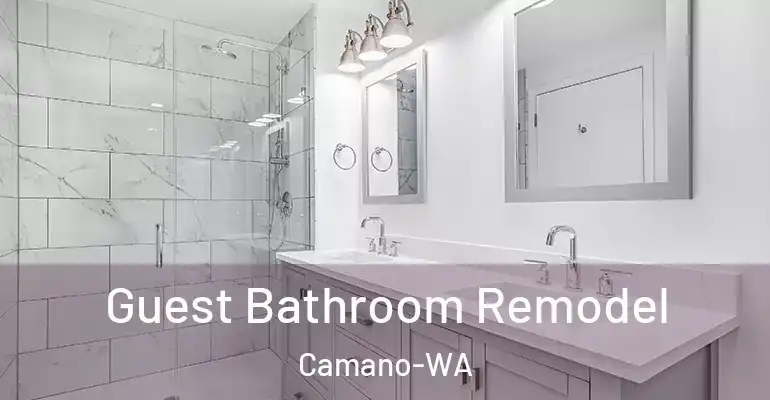 inner Bathroom imggen Guest Bathroom Remodel Camano-WA