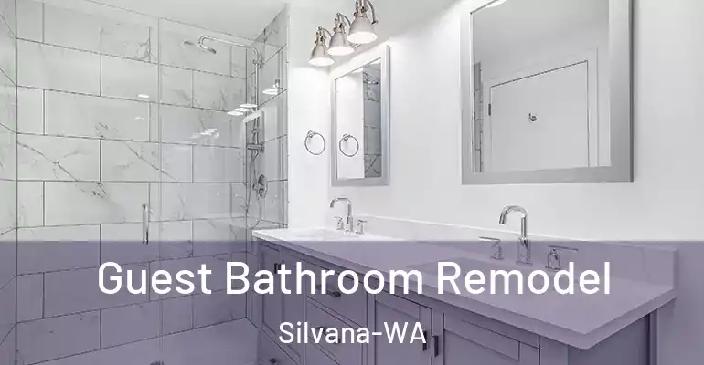 inner Bathroom imggen Guest Bathroom Remodel Silvana-WA