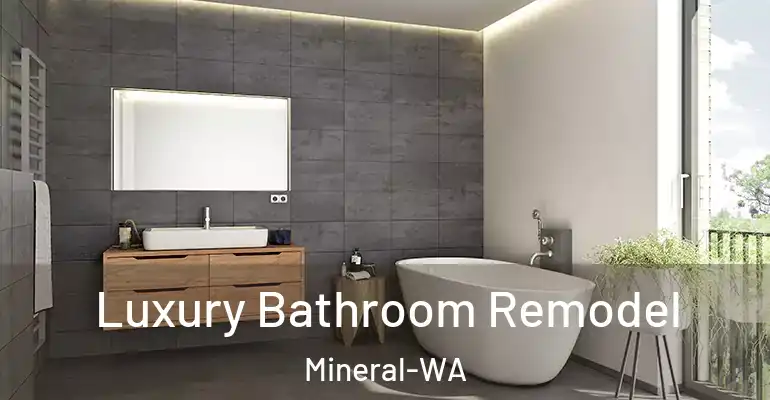 inner Bathroom imggen Luxury Bathroom Remodel Mineral-WA
