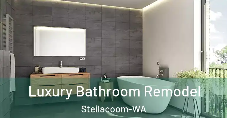 inner Bathroom imggen Luxury Bathroom Remodel Steilacoom-WA