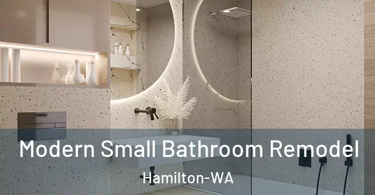 inner Bathroom imggen Modern Small Bathroom Remodel Hamilton-WA