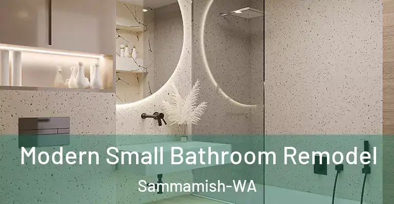 inner Bathroom imggen Modern Small Bathroom Remodel Sammamish-WA