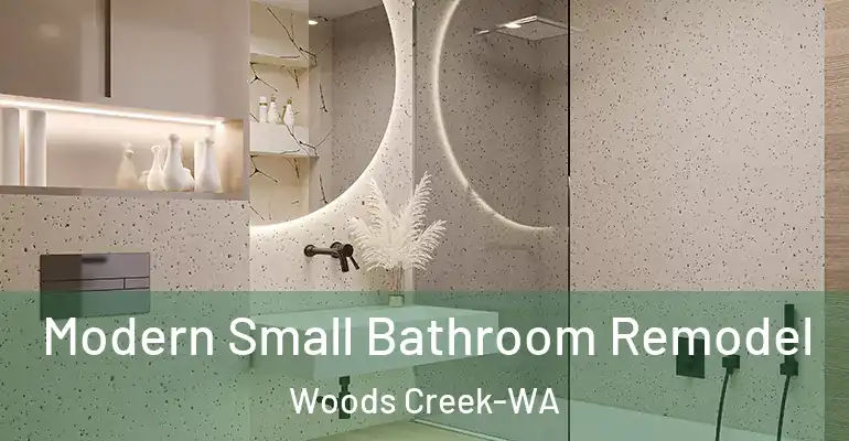 inner Bathroom imggen Modern Small Bathroom Remodel Woods Creek-WA