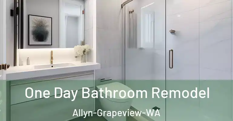 inner Bathroom imggen One Day Bathroom Remodel Allyn-Grapeview-WA
