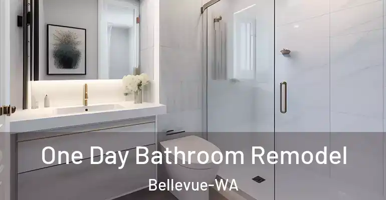 inner Bathroom imggen One Day Bathroom Remodel Bellevue-WA