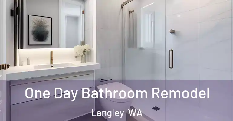 inner Bathroom imggen One Day Bathroom Remodel Langley-WA