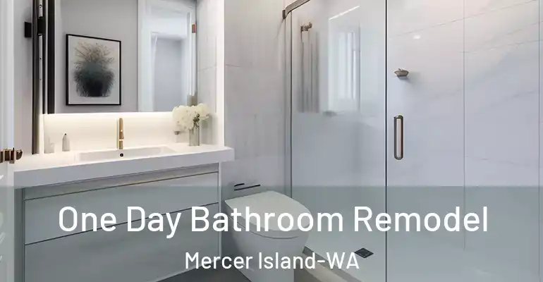 inner Bathroom imggen One Day Bathroom Remodel Mercer Island-WA