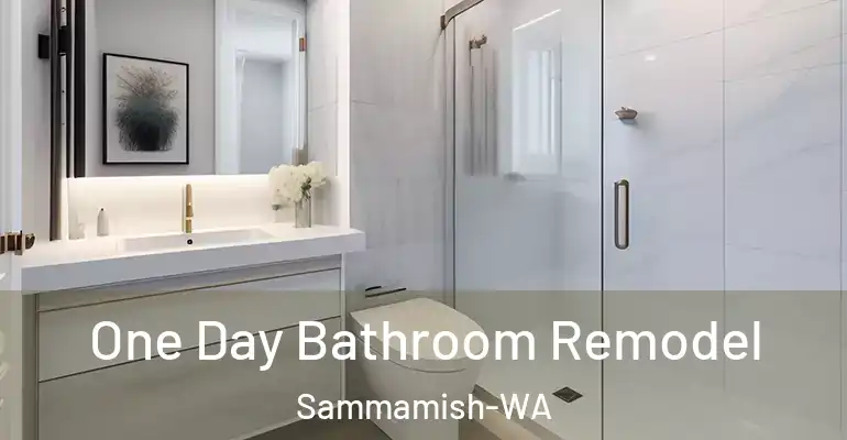 inner Bathroom imggen One Day Bathroom Remodel Sammamish-WA