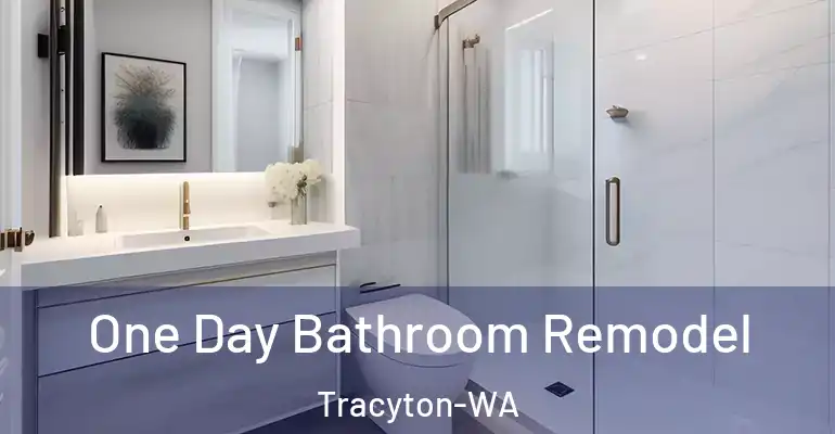 inner Bathroom imggen One Day Bathroom Remodel Tracyton-WA