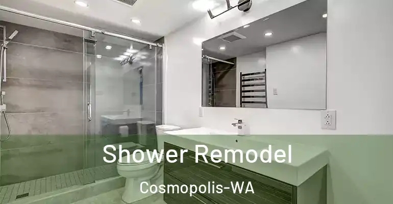 inner Bathroom imggen Shower Remodel Cosmopolis-WA