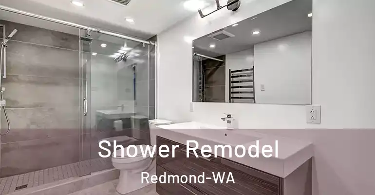 inner Bathroom imggen Shower Remodel Redmond-WA