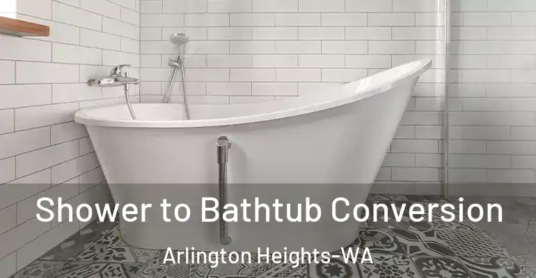 inner Bathroom imggen Shower to Bathtub Conversion Arlington Heights-WA