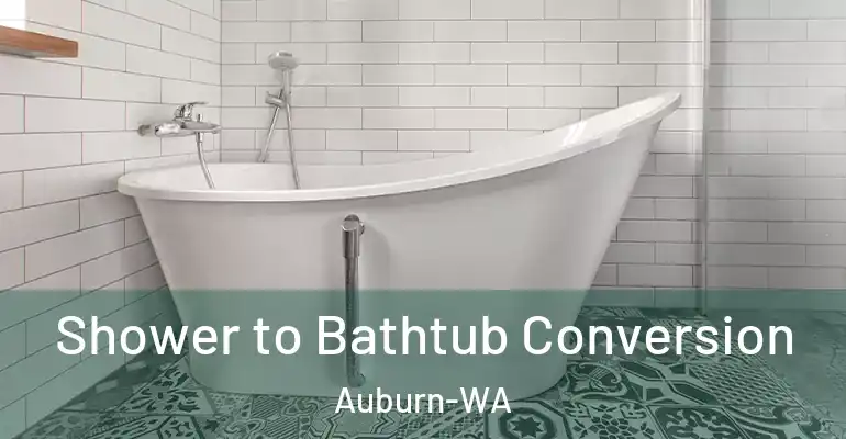 inner Bathroom imggen Shower to Bathtub Conversion Auburn-WA