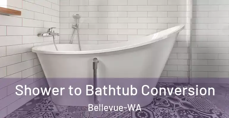 inner Bathroom imggen Shower to Bathtub Conversion Bellevue-WA
