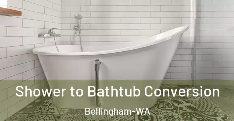 inner Bathroom imggen Shower to Bathtub Conversion Bellingham-WA
