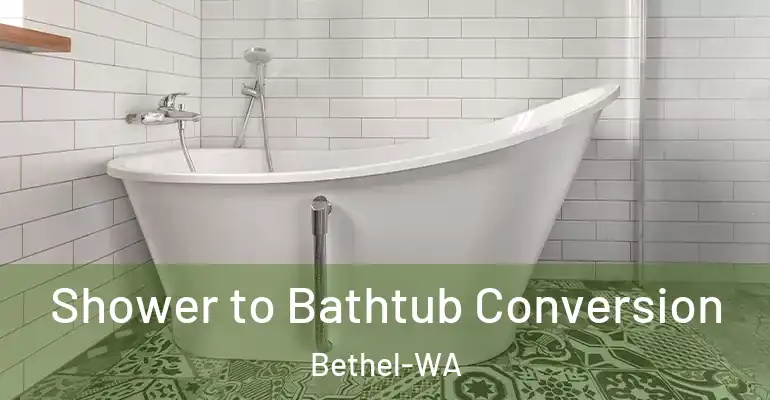 inner Bathroom imggen Shower to Bathtub Conversion Bethel-WA