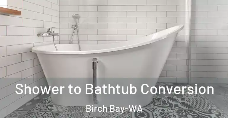 inner Bathroom imggen Shower to Bathtub Conversion Birch Bay-WA