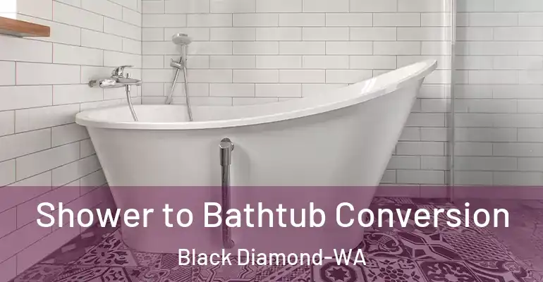 inner Bathroom imggen Shower to Bathtub Conversion Black Diamond-WA