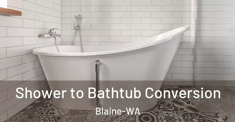inner Bathroom imggen Shower to Bathtub Conversion Blaine-WA