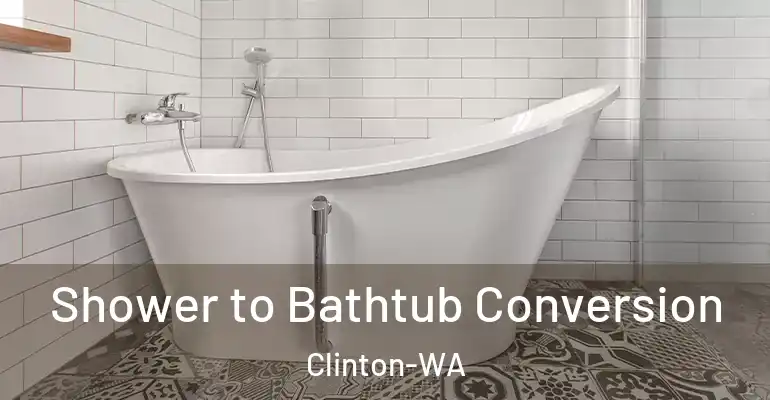 inner Bathroom imggen Shower to Bathtub Conversion Clinton-WA