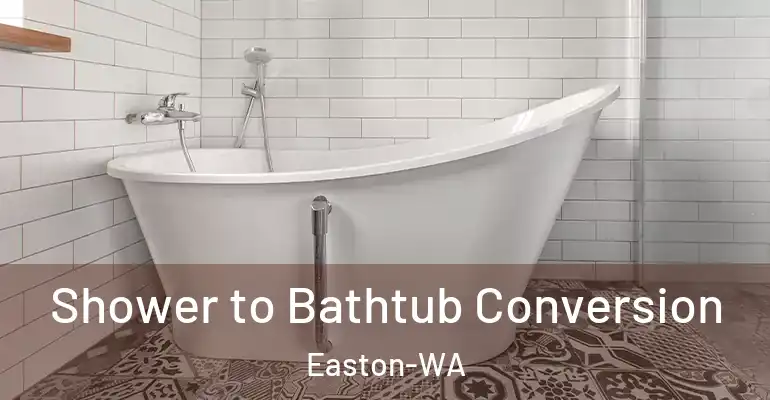 inner Bathroom imggen Shower to Bathtub Conversion Easton-WA