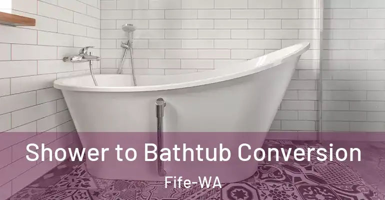 inner Bathroom imggen Shower to Bathtub Conversion Fife-WA