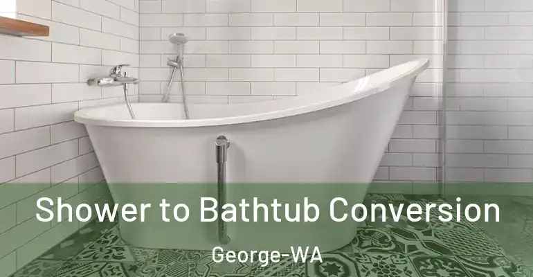 inner Bathroom imggen Shower to Bathtub Conversion George-WA