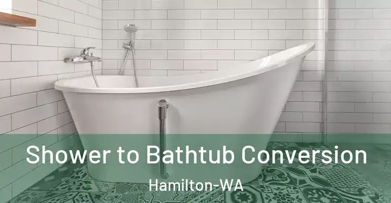 inner Bathroom imggen Shower to Bathtub Conversion Hamilton-WA