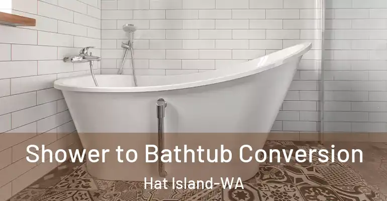 inner Bathroom imggen Shower to Bathtub Conversion Hat Island-WA