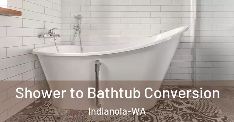 inner Bathroom imggen Shower to Bathtub Conversion Indianola-WA