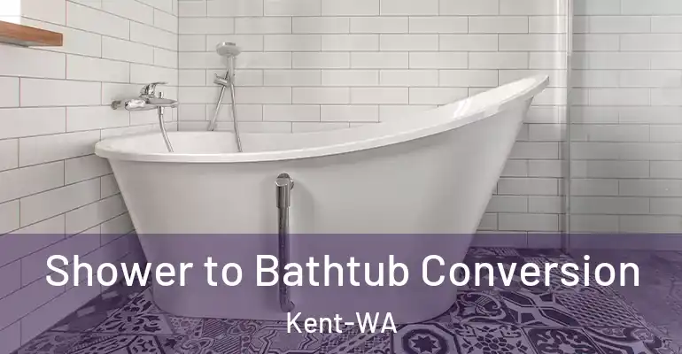 inner Bathroom imggen Shower to Bathtub Conversion Kent-WA