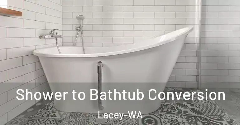 inner Bathroom imggen Shower to Bathtub Conversion Lacey-WA